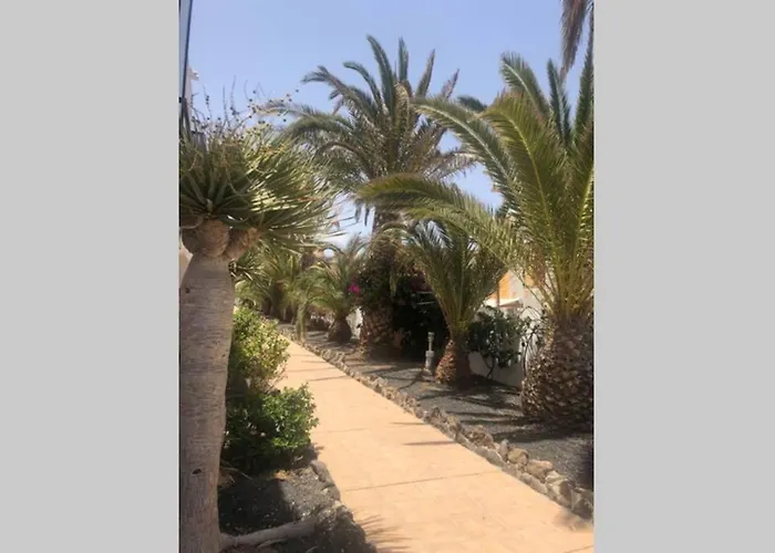 Sunrise Complex Amaya Fuerteventura Lejlighed *